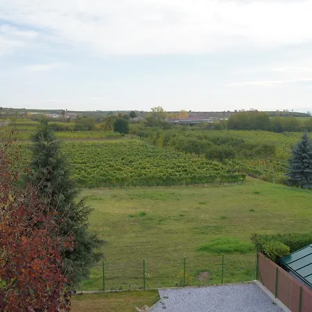 Täuber Krems an der Donau